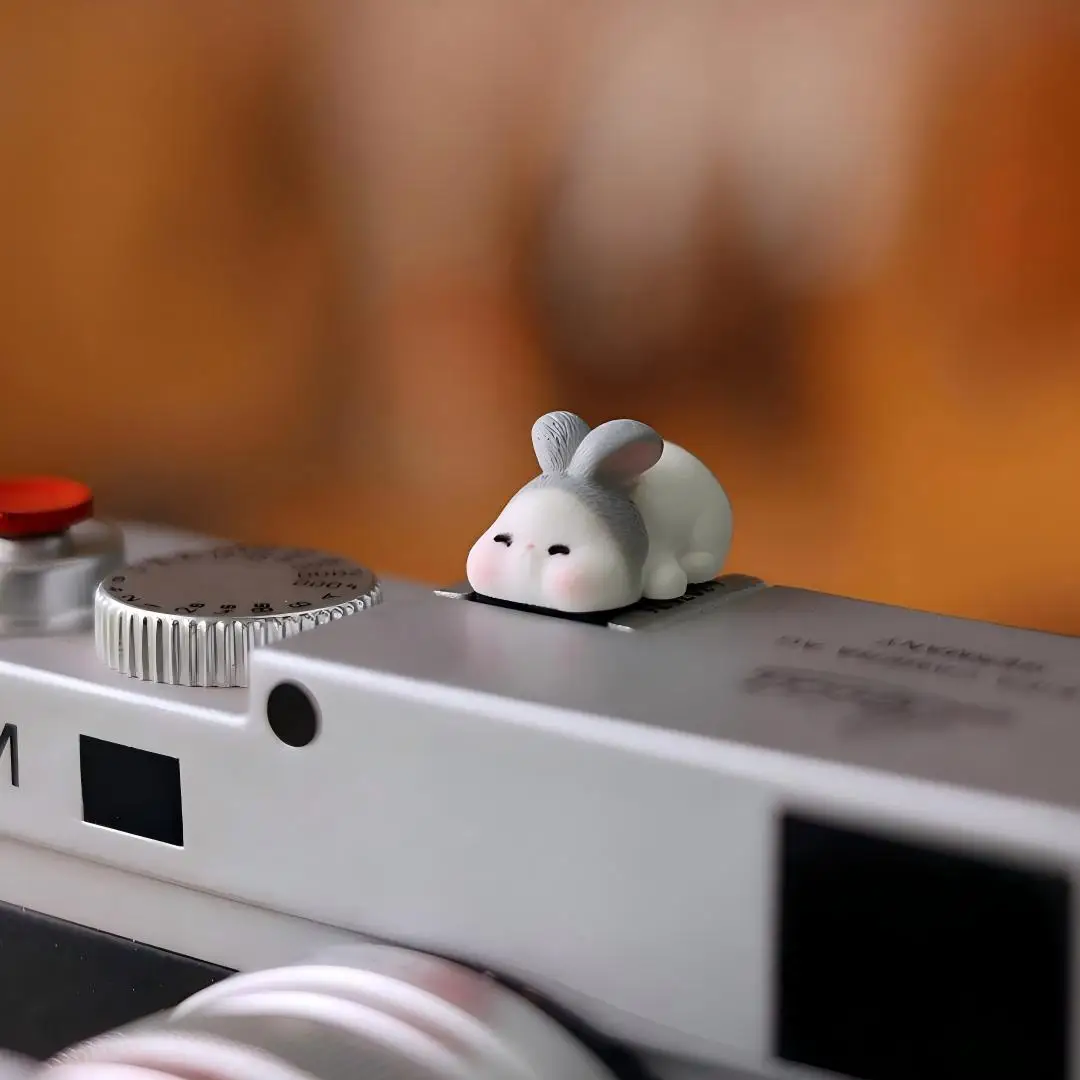 Copriattacco universale divert - Sony Camera Zv-E10 recensione e prezzo